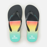 DAWN PATROL BLOOM OPEN TO AQUA