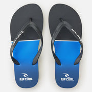 DAWN PATROL BLOOM OPEN TO ELECTRIC COBALT