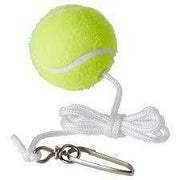 SPIN TENNIS SPARE BALLS