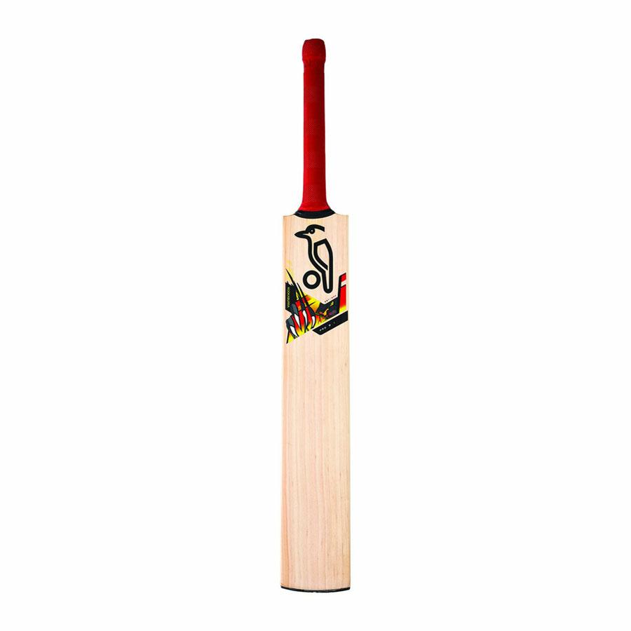BEAST PRO 8.1
