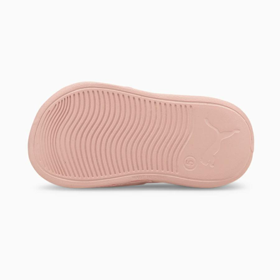 POPCAT 20 BACKSTRAP AC PS LOTUS-PUMA SILVER