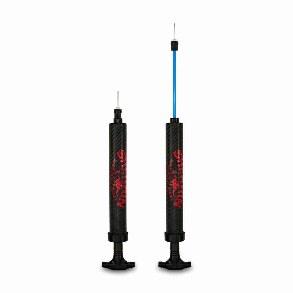 DUAL ACTION PUMP