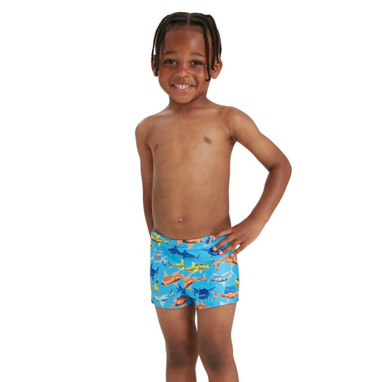 PAPER SHARK HIP RACER MULTI