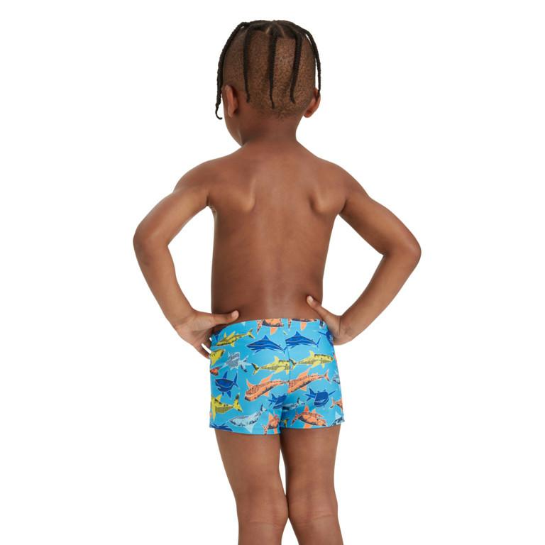 PAPER SHARK HIP RACER MULTI