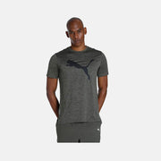 TRAIN FAV HEATHER CAT TEE GRAY