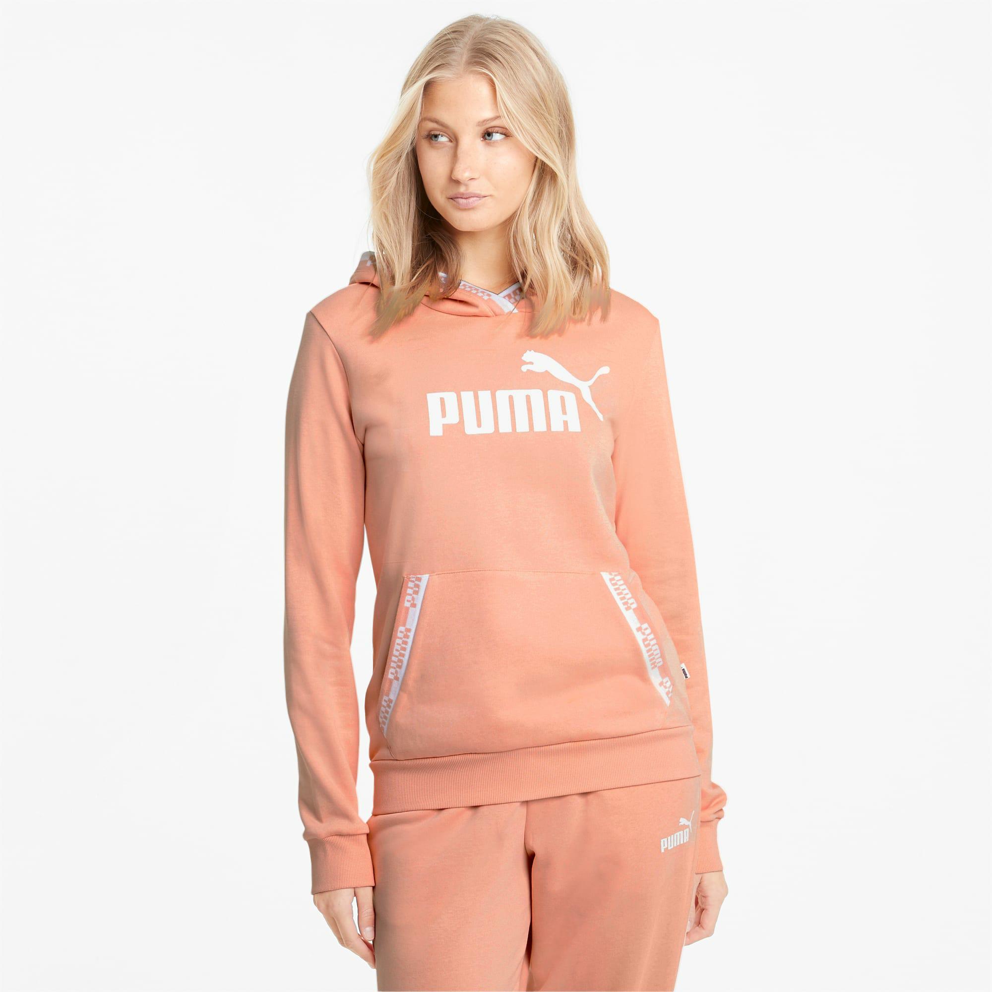 AMPLIFIED HOODIE TR APRICOT BLUSH