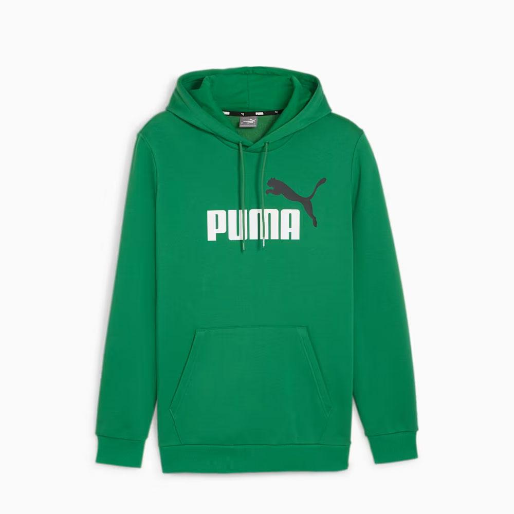 ESS+ 2 COL BIG LOGO HOODI ARCHIVE GREEN