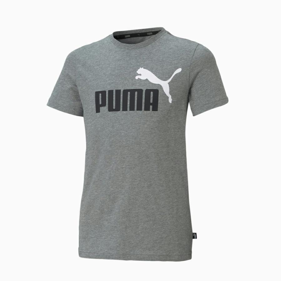 BOYS ESS+ 2 COL LOGO TEE MEDIUM GRAY HEATHER