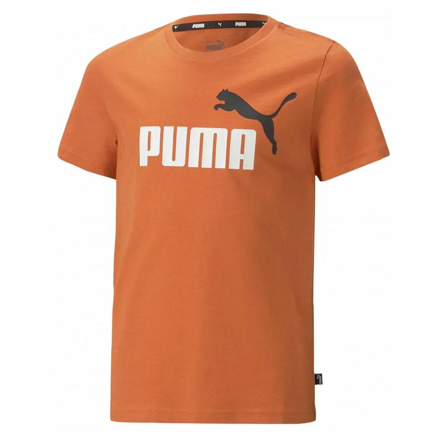 BOYS ESS+ 2 COL LOGO TEE GINGER TEA