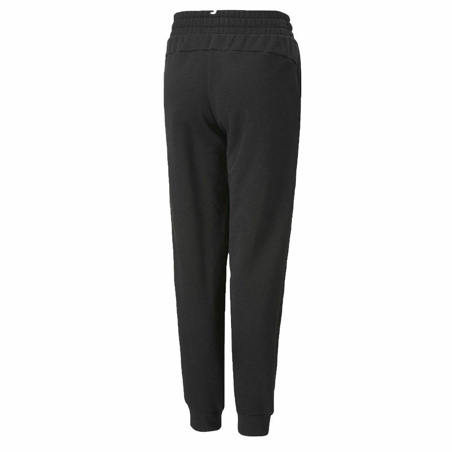 BOYS ESS+ 2 COL LOGO PANT PUMA BLACK-WARM EART