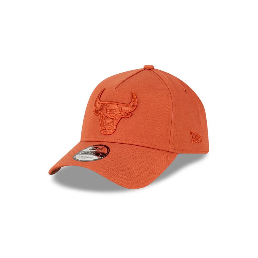CHICAGO BULLS 9FORTY REDWOOD