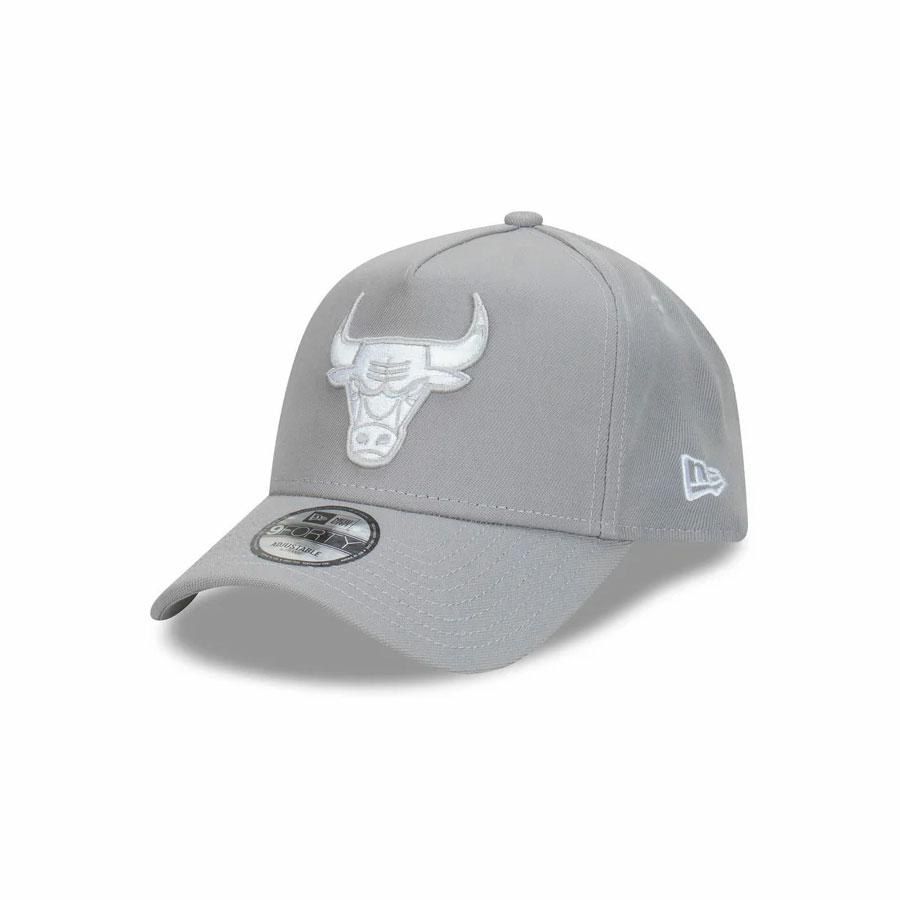 CHICAGO BULLS 9FORTY A-FR GRAPHITE