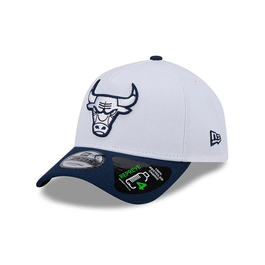 940AFL CHICAGO BULLS BULLS
