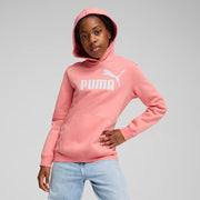 ESS NO. 1 LOGO HOODIE FL PINK FRUIT-