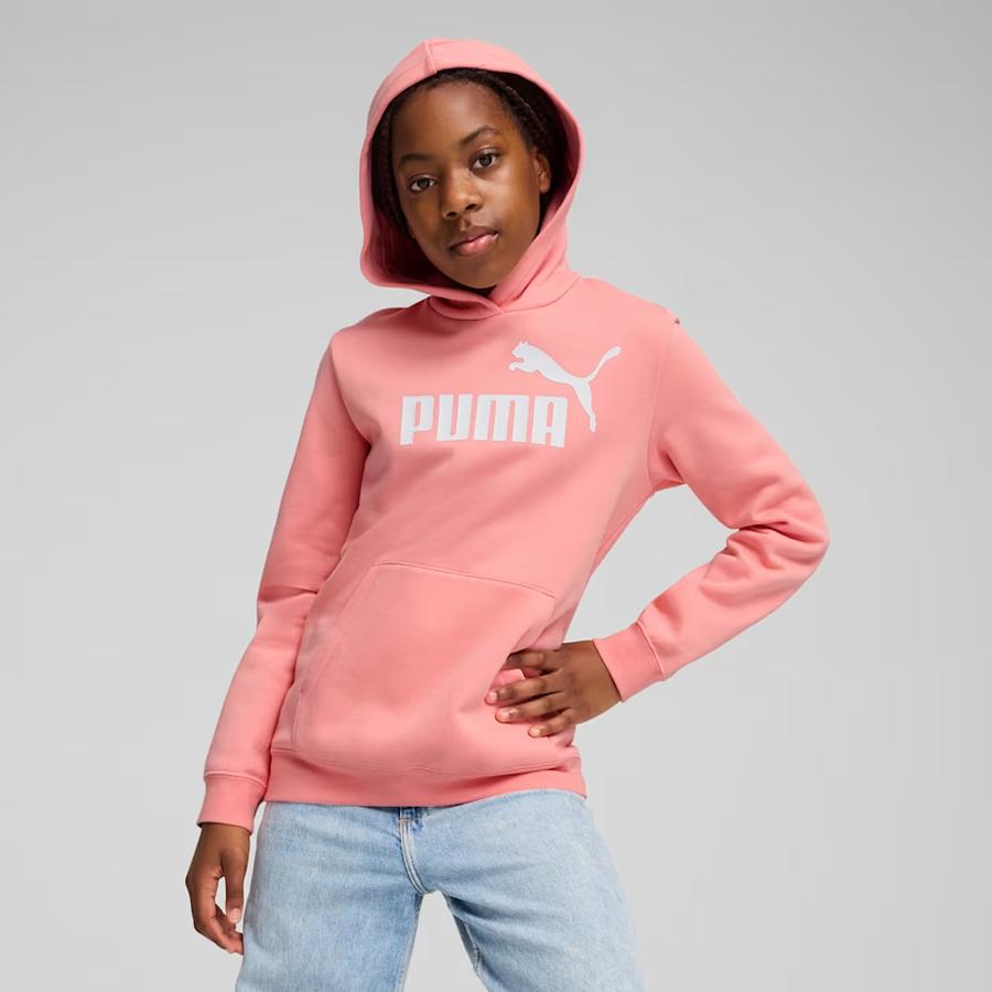 ESS NO. 1 LOGO HOODIE FL PINK FRUIT-