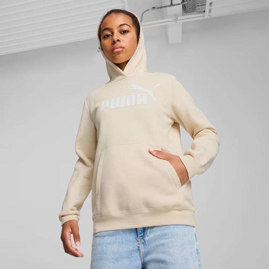 ESS NO. 1 LOGO HOODIE FL ALPINE SNOW-