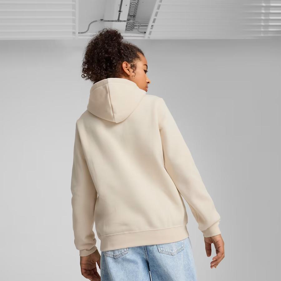 ESS NO. 1 LOGO HOODIE FL ALPINE SNOW-