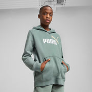 ESS 2 COLOR NO. 1 LOGO HO GREEN MOON-