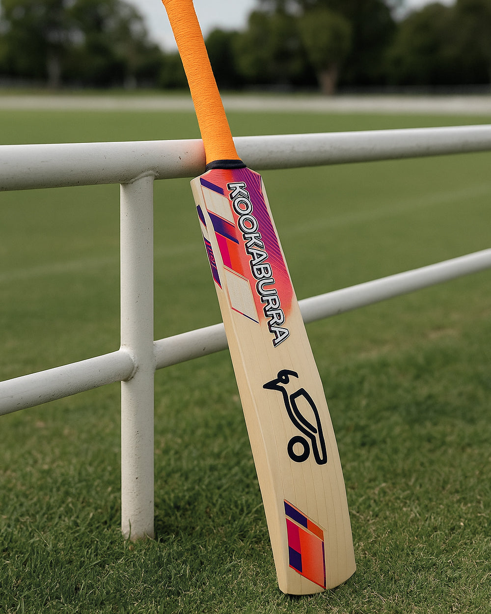 Cricket