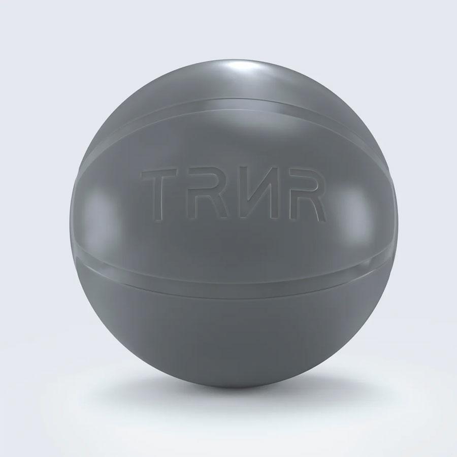 GYM BALL 65CM SILVER