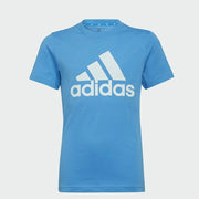 B BL T PULBLU/ALMBLU