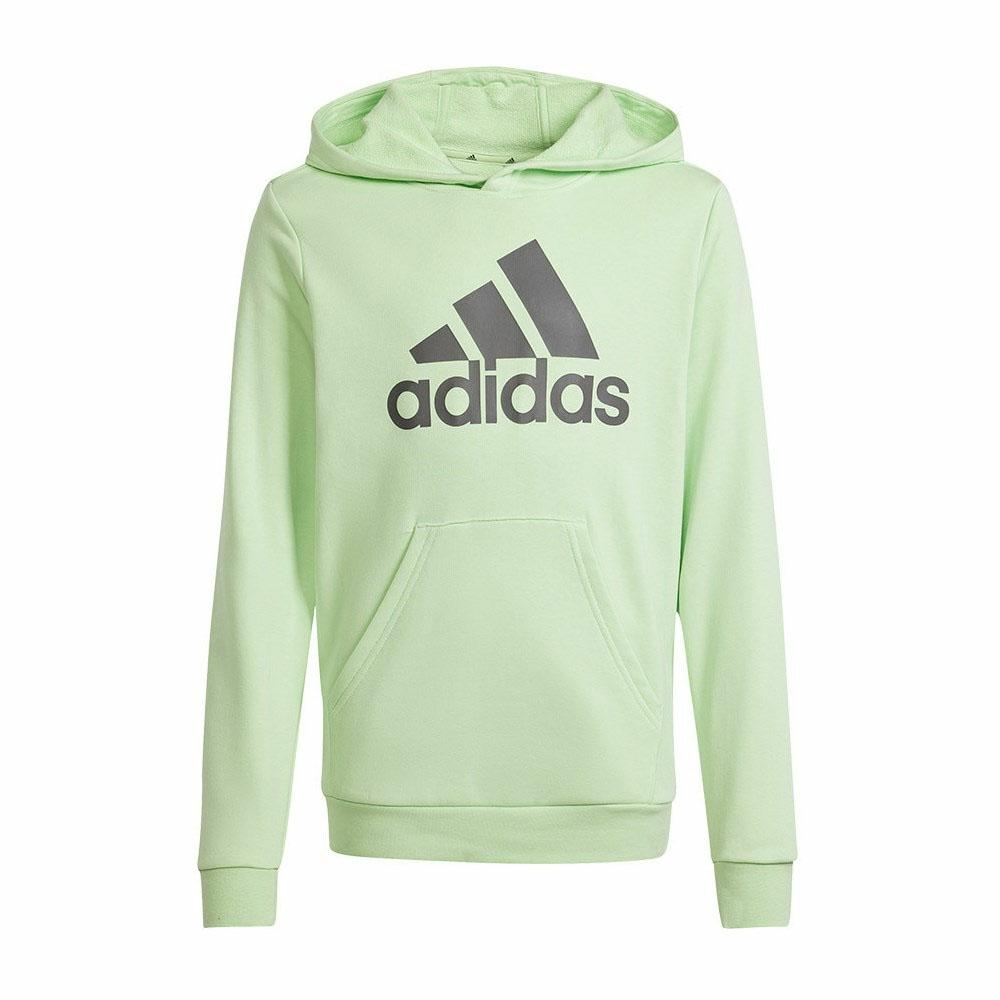 U BL HOODIE SEMI GREEN SPARK/CHA