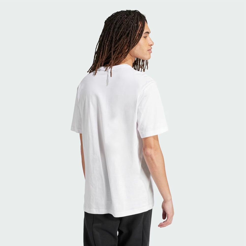 M FI BOS T OLY WHITE