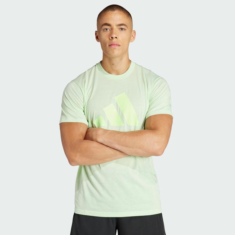 TR-ES FR LOGO T SEMI GREEN SPARK/GRE