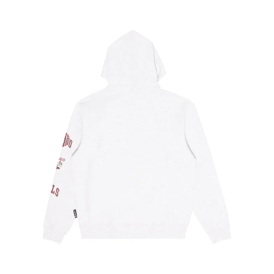 STANFORD FLEECE HOODY BUL SILVER MARLE