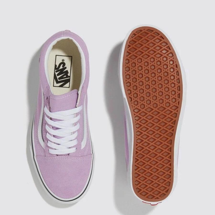 OLD SKOOL COLOR THEORY LUPINE