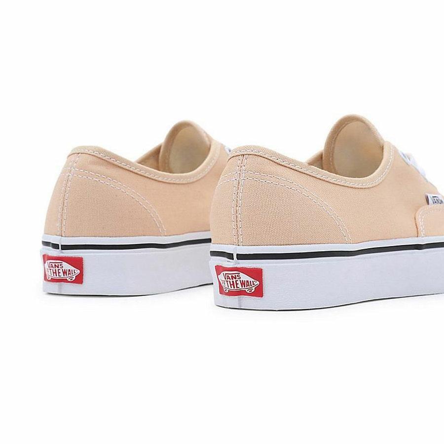 AUTHENTIC COLOR THEORY HONEY P