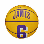 NBA PLAYER ICON MINI BSK LEBRON