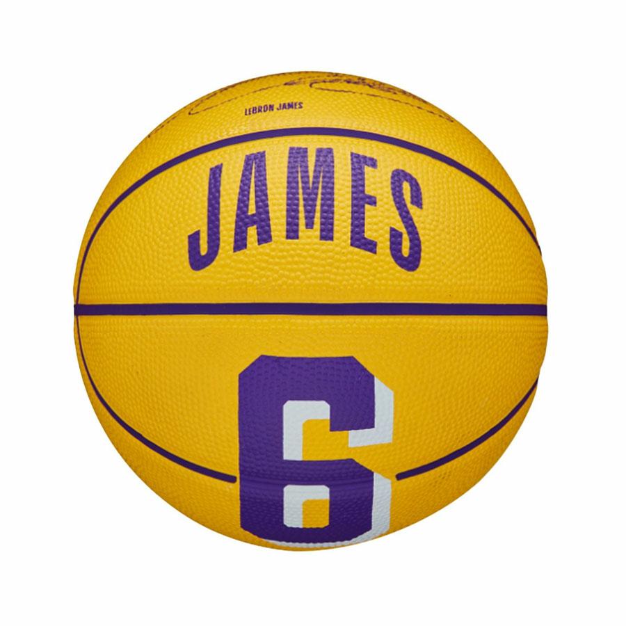 NBA PLAYER ICON MINI BSK LEBRON