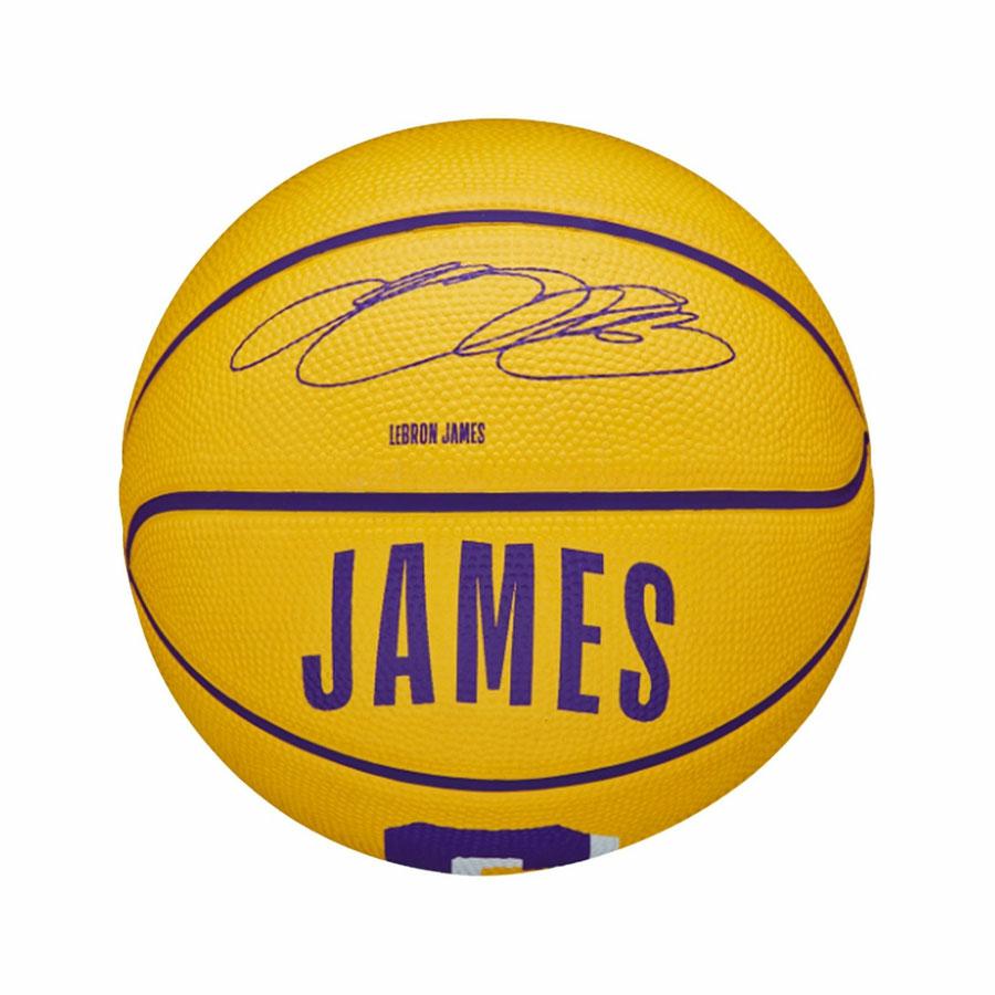NBA PLAYER ICON MINI BSK LEBRON