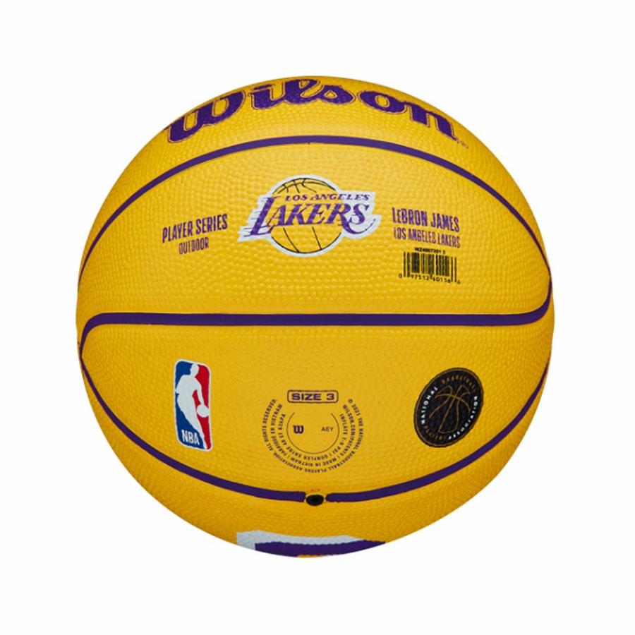 NBA PLAYER ICON MINI BSK LEBRON